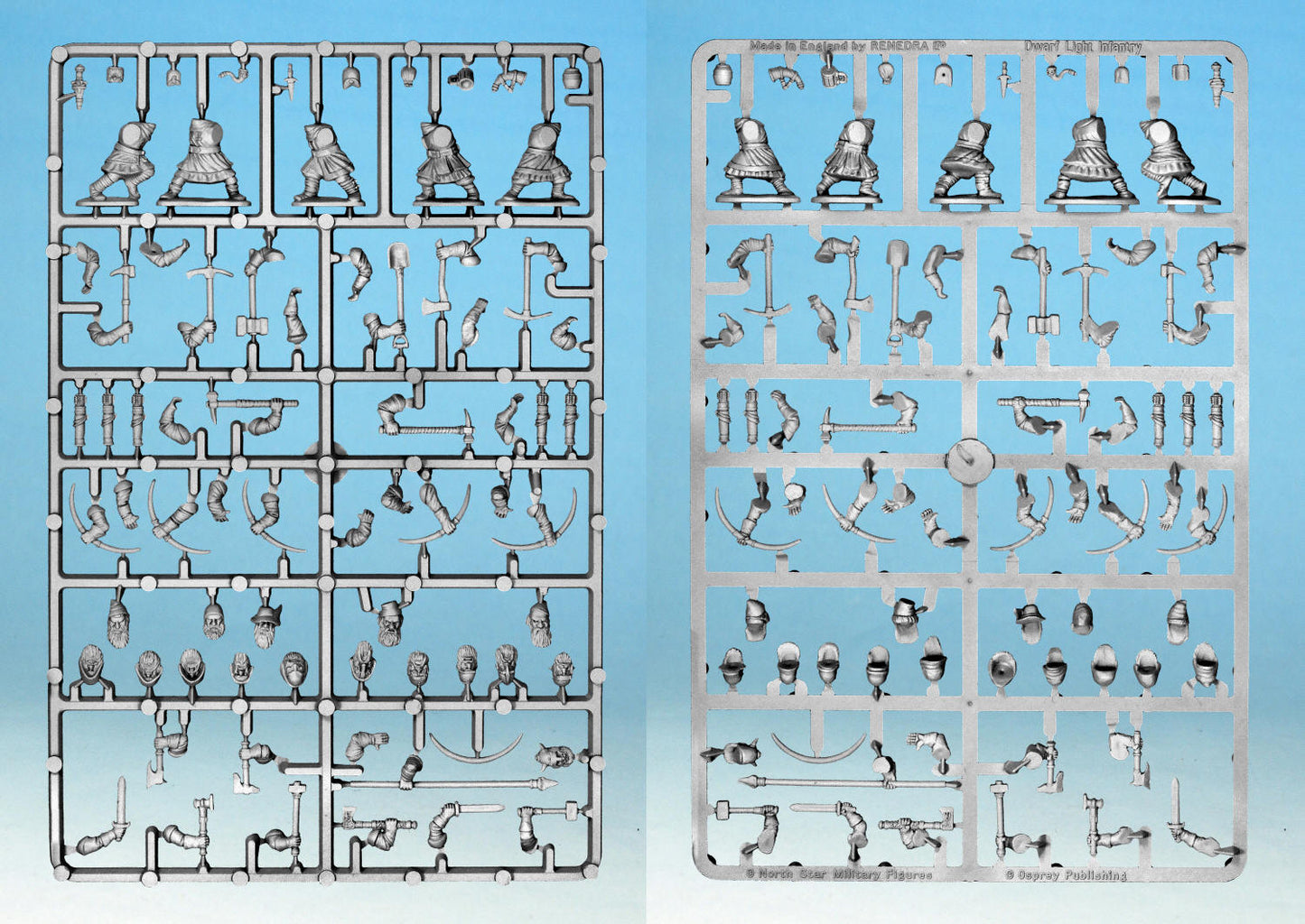 Dwarf Light Infantry individual sprue (limited stock)