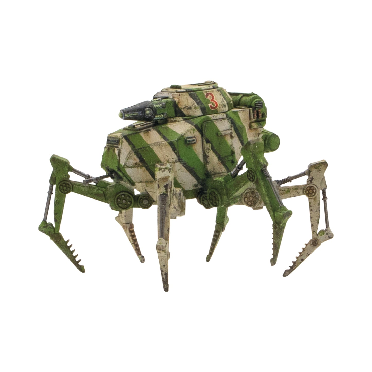 Vogelspinne Light Walker (Special order item)