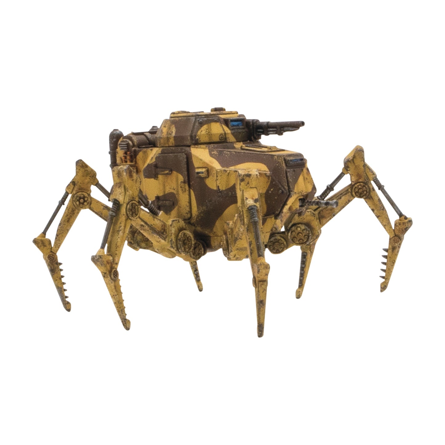 Vogelspinne Light Walker (Special order item)