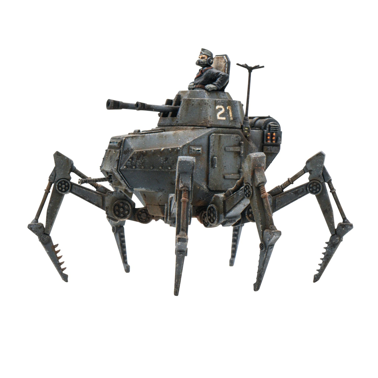 Vogelspinne Light Walker (Special order item)