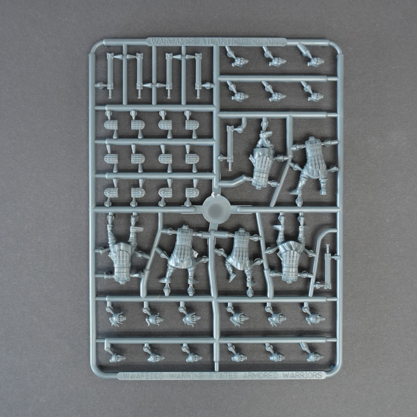 Warring States Armored Infantry