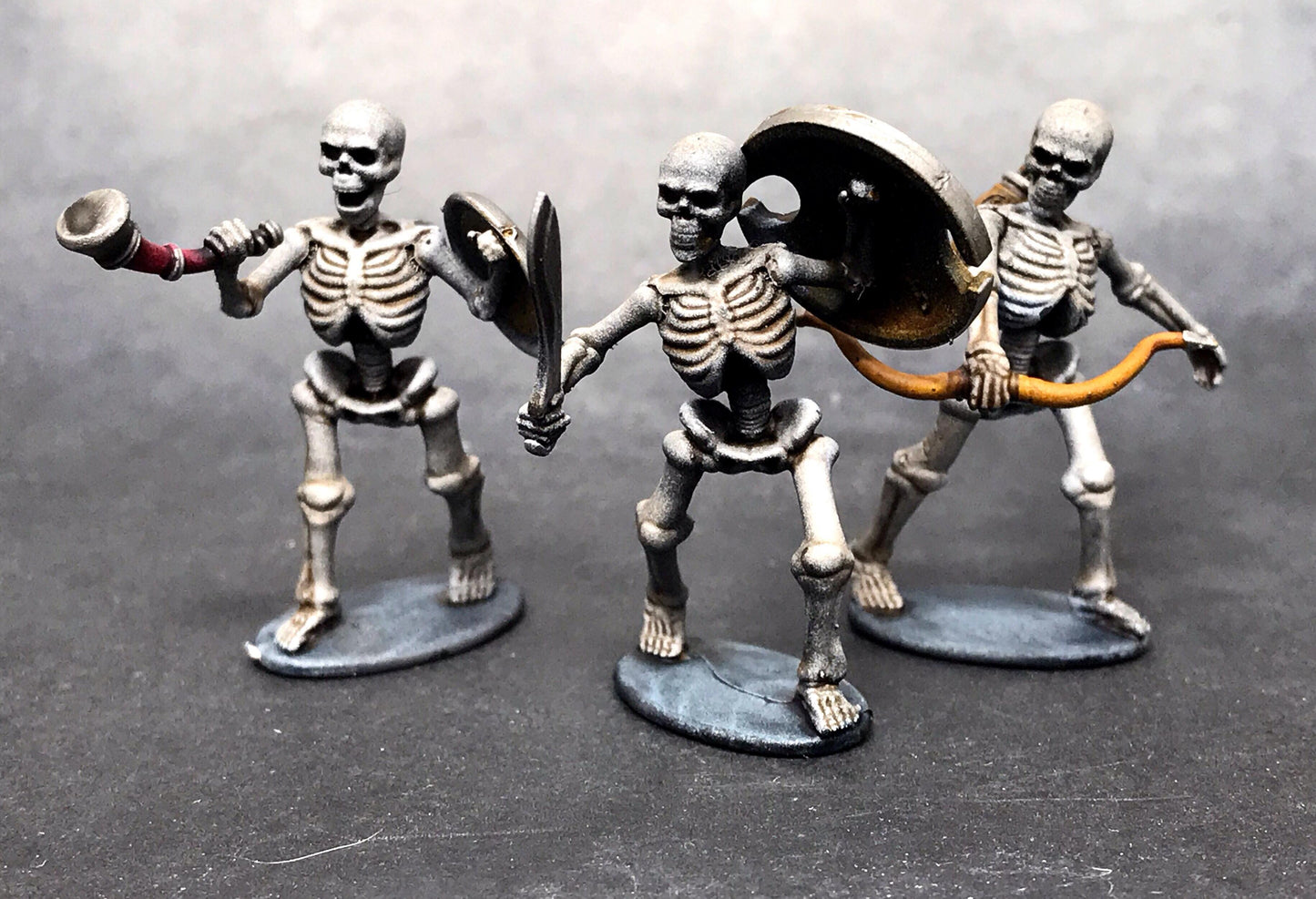 Skeleton Warriors boxed set