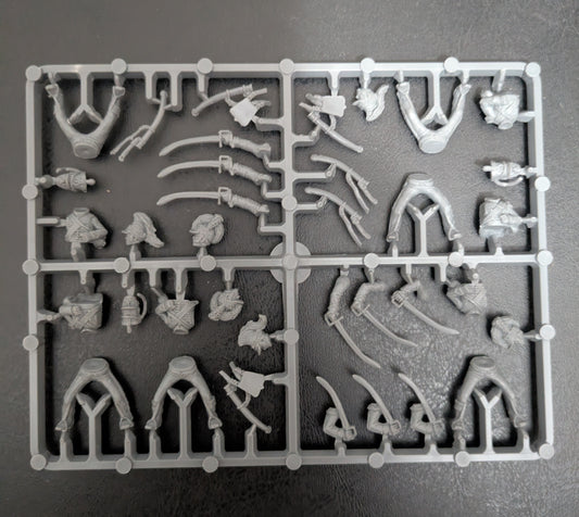 Perry Miniatures British light Dragoon riders Frame