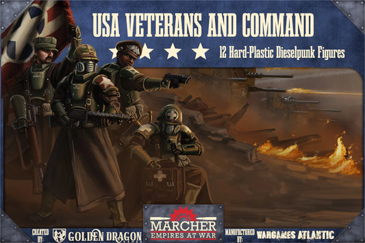 Marcher USA Veterans and Command